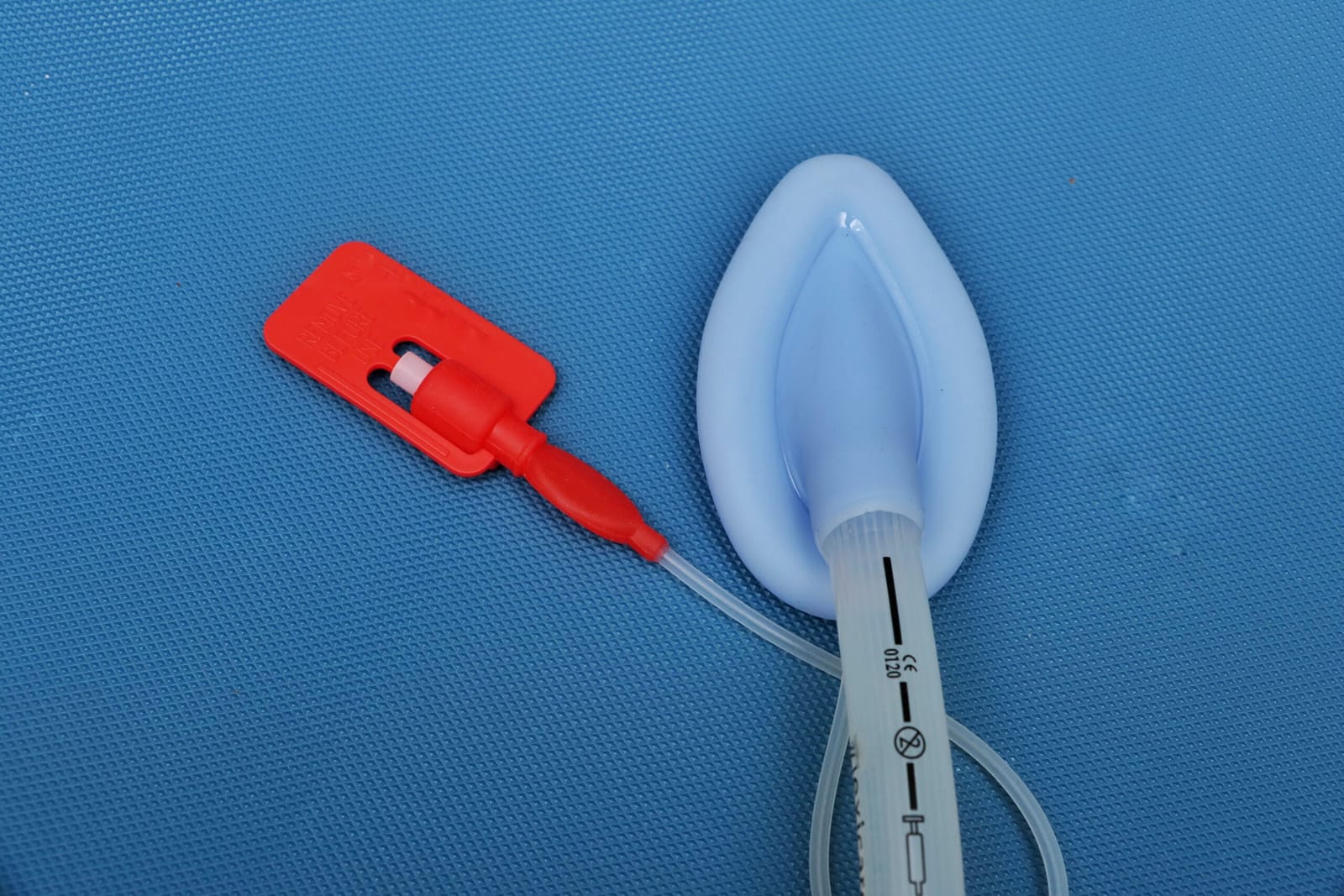 The Laryngeal Mask Airway
